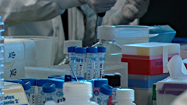 Docteur Jacques Grill, responsable de la recherche sur les tumeurs cérébrales des enfants :  “Mieux voir le visage de l'ennemi pour mieux le combattre” Docteur Jacques Grill, responsable de la recherche sur les tumeurs cérébrales des enfants :  “Mieux voir le visage de l'ennemi pour mieux le combattre”