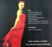 INVITATION. Lundi 25 novembre 2019: spectacle-hommage à Olivia au Théâtre 13/Jardin.  